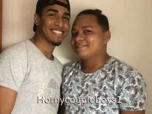 Hornycoupleboys1