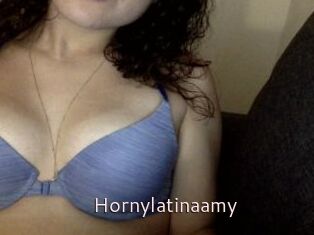 Hornylatinaamy