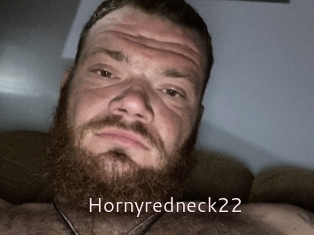 Hornyredneck22