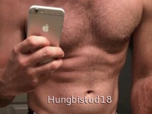 Hungbistud18