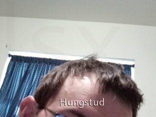 Hungstud