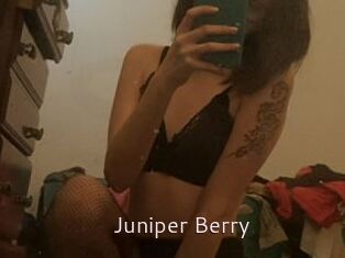 Juniper_Berry