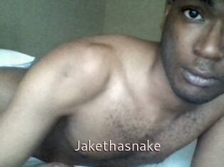 Jake_tha_snake