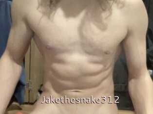 Jakethesnake312