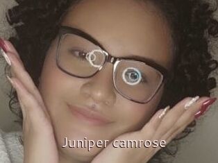 Juniper_camrose