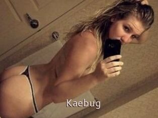 Kaebug