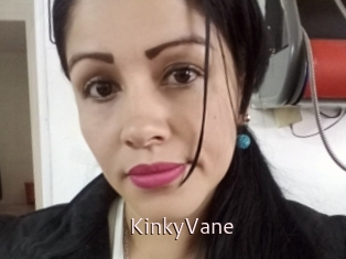 KinkyVane