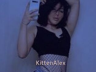 KittenAlex