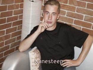 Kanesteep