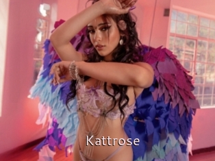 Kattrose