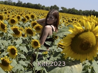 Kitti2023