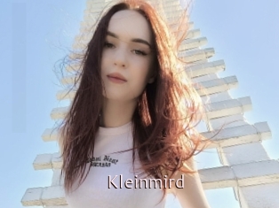 Kleinmird