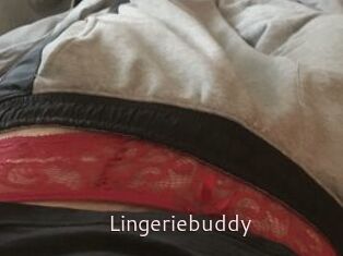 Lingeriebuddy