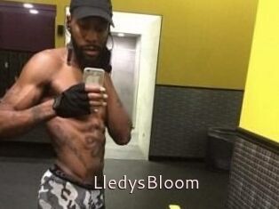 Lledys_Bloom