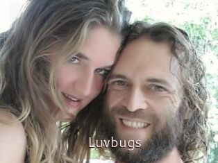 Luvbugs