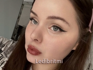 Ledibritmi