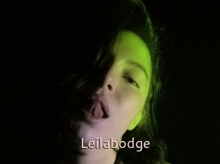 Leilabodge