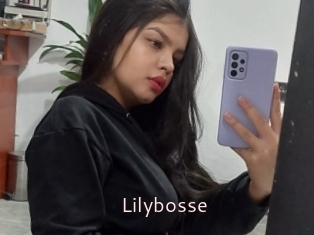 Lilybosse