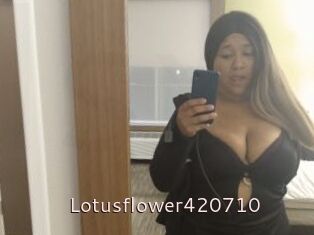 Lotusflower420710