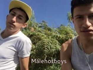 Malehotboys