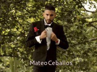 MateoCeballos