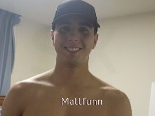 Mattfunn