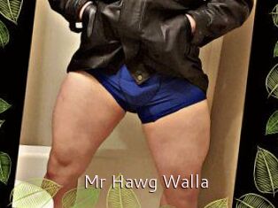 Mr_Hawg_Walla