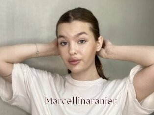 Marcellinaranier