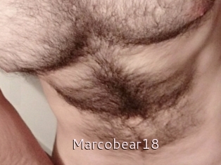 Marcobear18