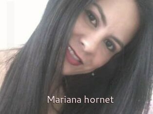 Mariana_hornet