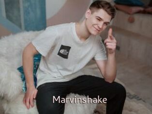 Marvinshake