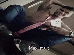 Maxi_mux