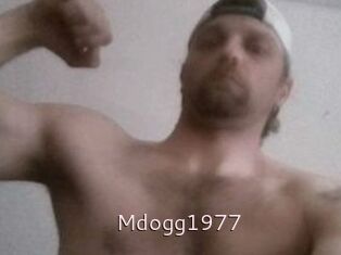 Mdogg1977