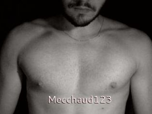 Mecchaud123