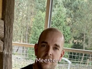 Meesterv