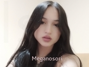 Meganosori