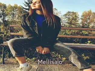 Mellisajo