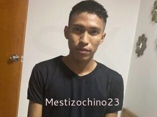 Mestizochino23