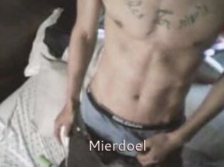 Mierdoel