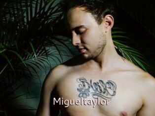 Migueltaylor