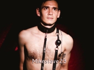 Mikeslave23