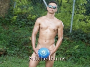 Mitchellburns