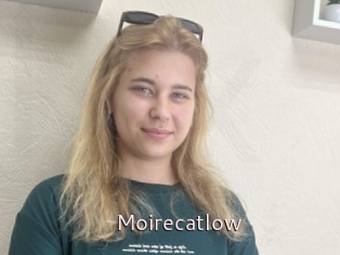 Moirecatlow