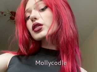 Mollycodle