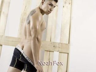 NoahFox