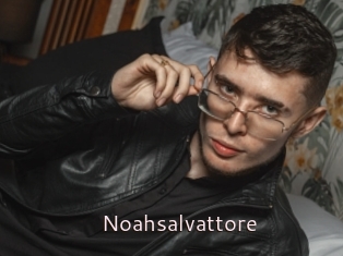 Noahsalvattore