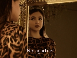 Noragartner