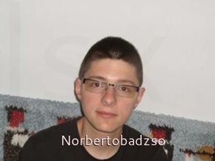 Norbertobadzso