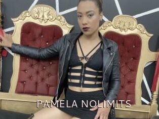 PAMELA_NOLIMITS