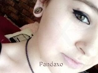 Pandaxo